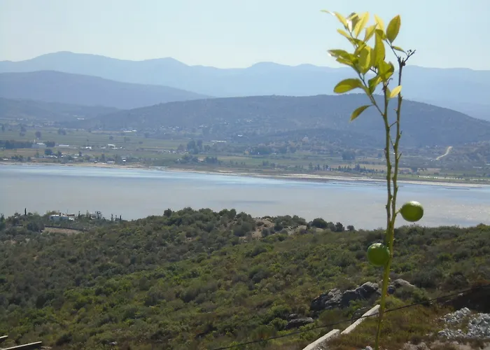 Lakeside Garden Szálloda Bogazici